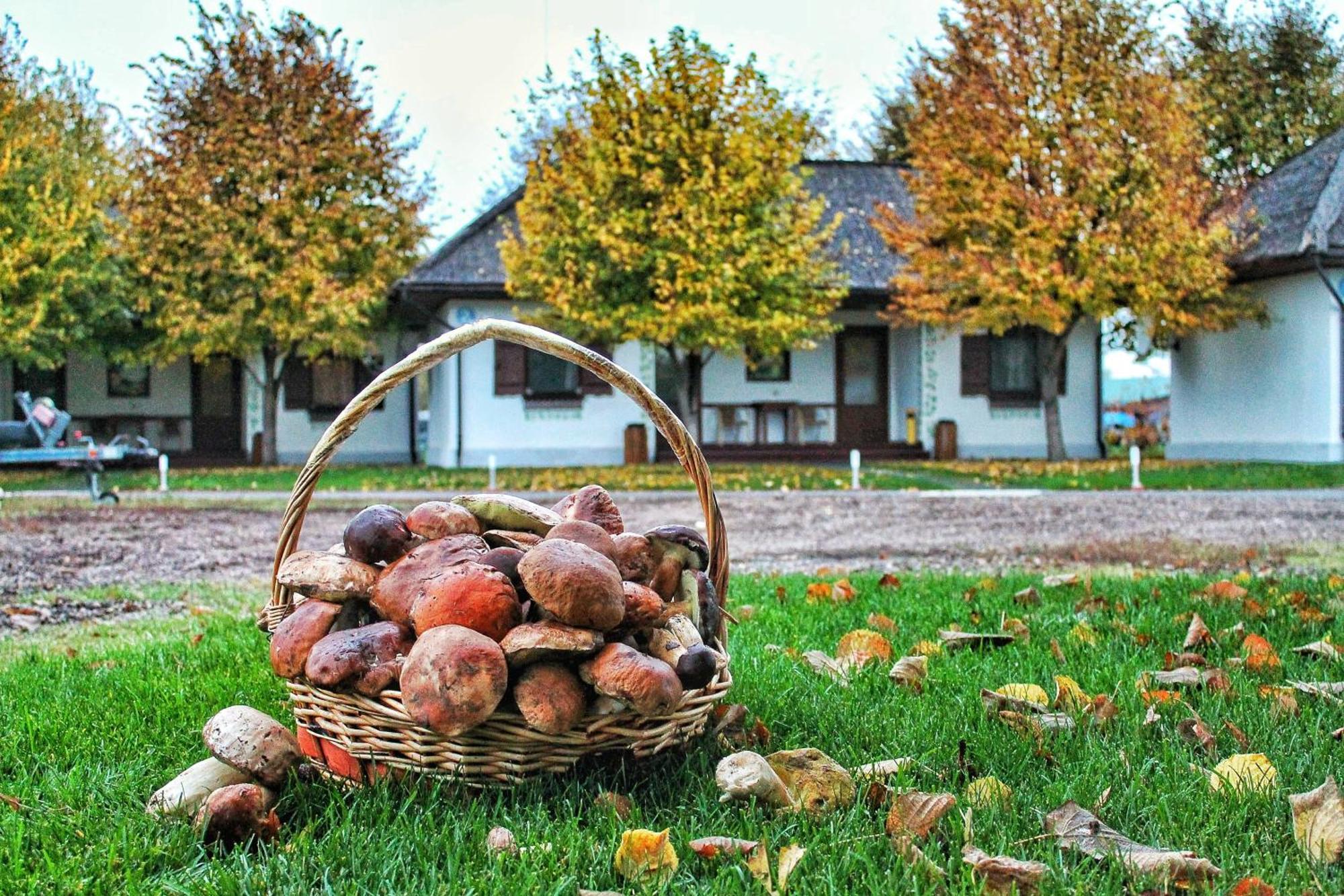 Bereg Holiday Park Svetlogorskoye Eksteriør bilde