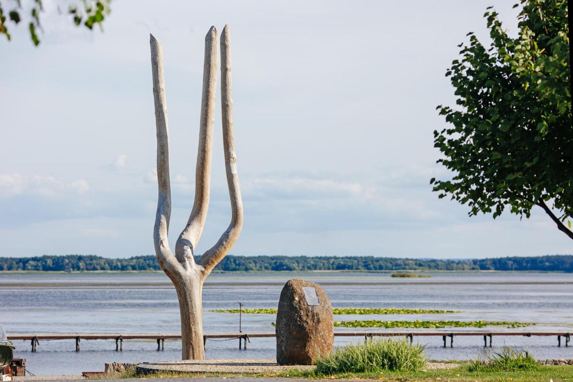 Bereg Holiday Park Svetlogorskoye Eksteriør bilde